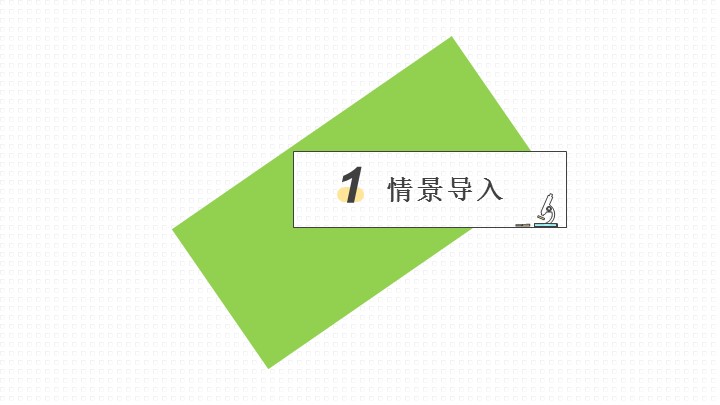 初中历史人教版九年级《历史希腊城邦和亚历山大帝国》教育教学课件