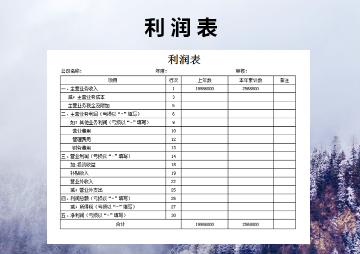 利润表模板