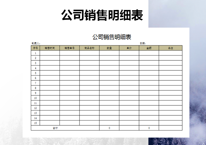公司销售明细表