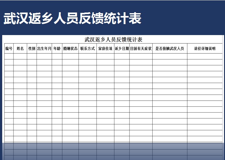 武汉返乡人员反馈统计表