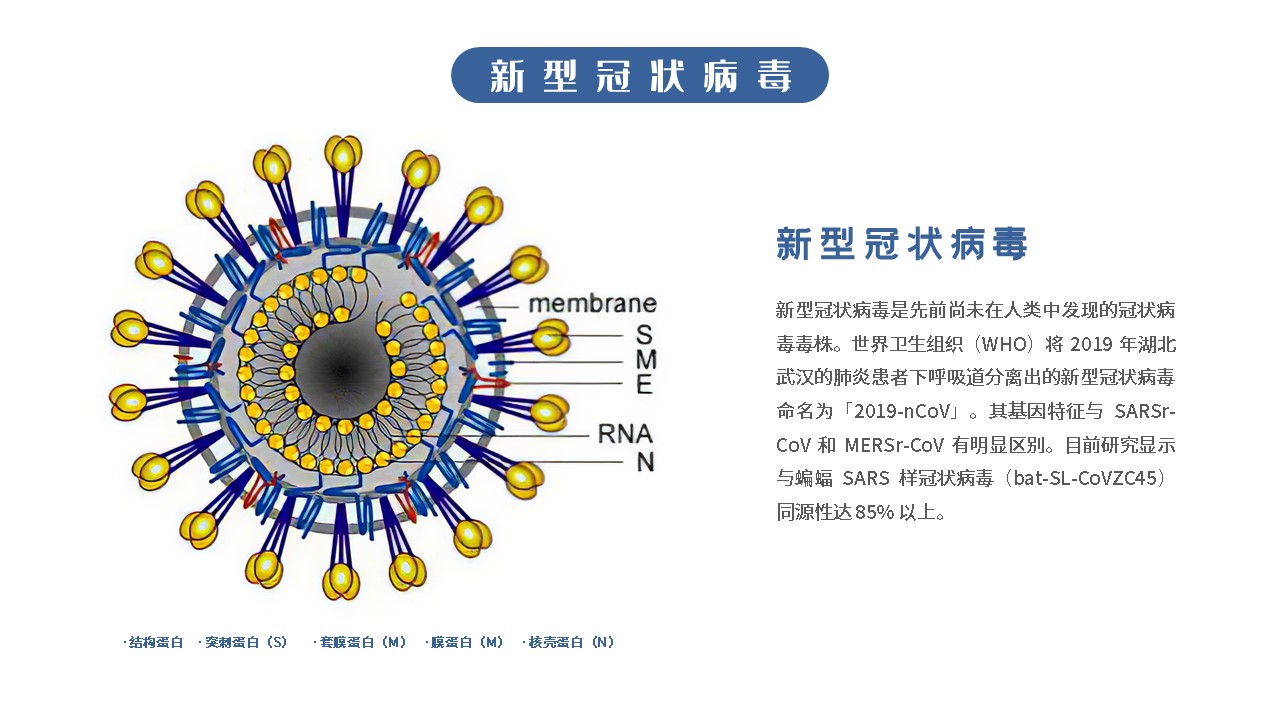 新型冠状病毒科普知识宣讲PPT