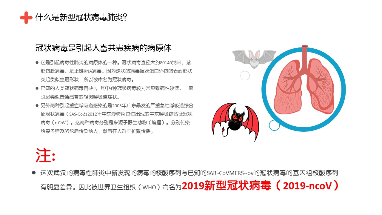 新型冠状肺炎知识点