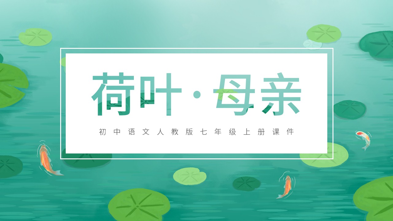 初中语文人教版七年级上册《荷叶母亲》教育教学课件