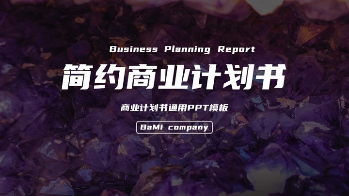 简约炫紫商业计划书通用模板
