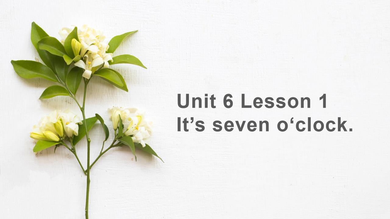 小学英语鲁科版三年级下册《unit6 Lesson1 It's