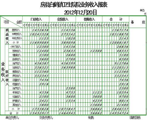 医院业务收入表